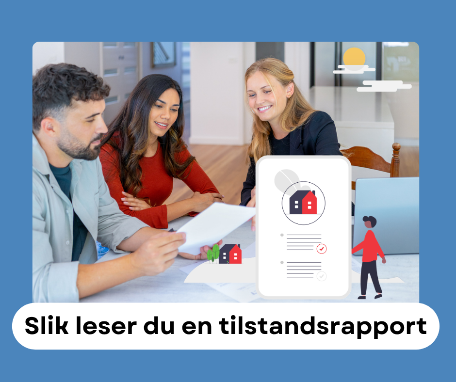 Tilstandsrapport bilde